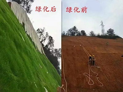 礦山復(fù)綠